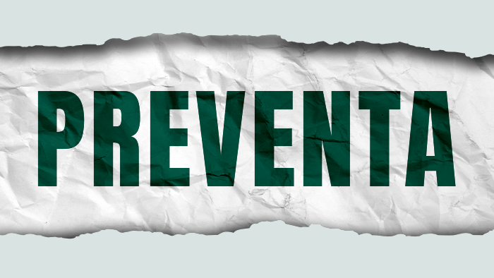 Nuevos modelos en preventa